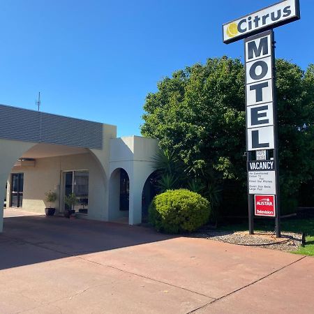 Citrus Motel Griffith Eksteriør bilde
